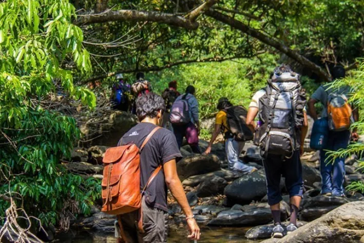 🌴 Goa Escape: Coastal Vibes & Creative Flow